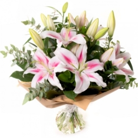 Lovely Lillies